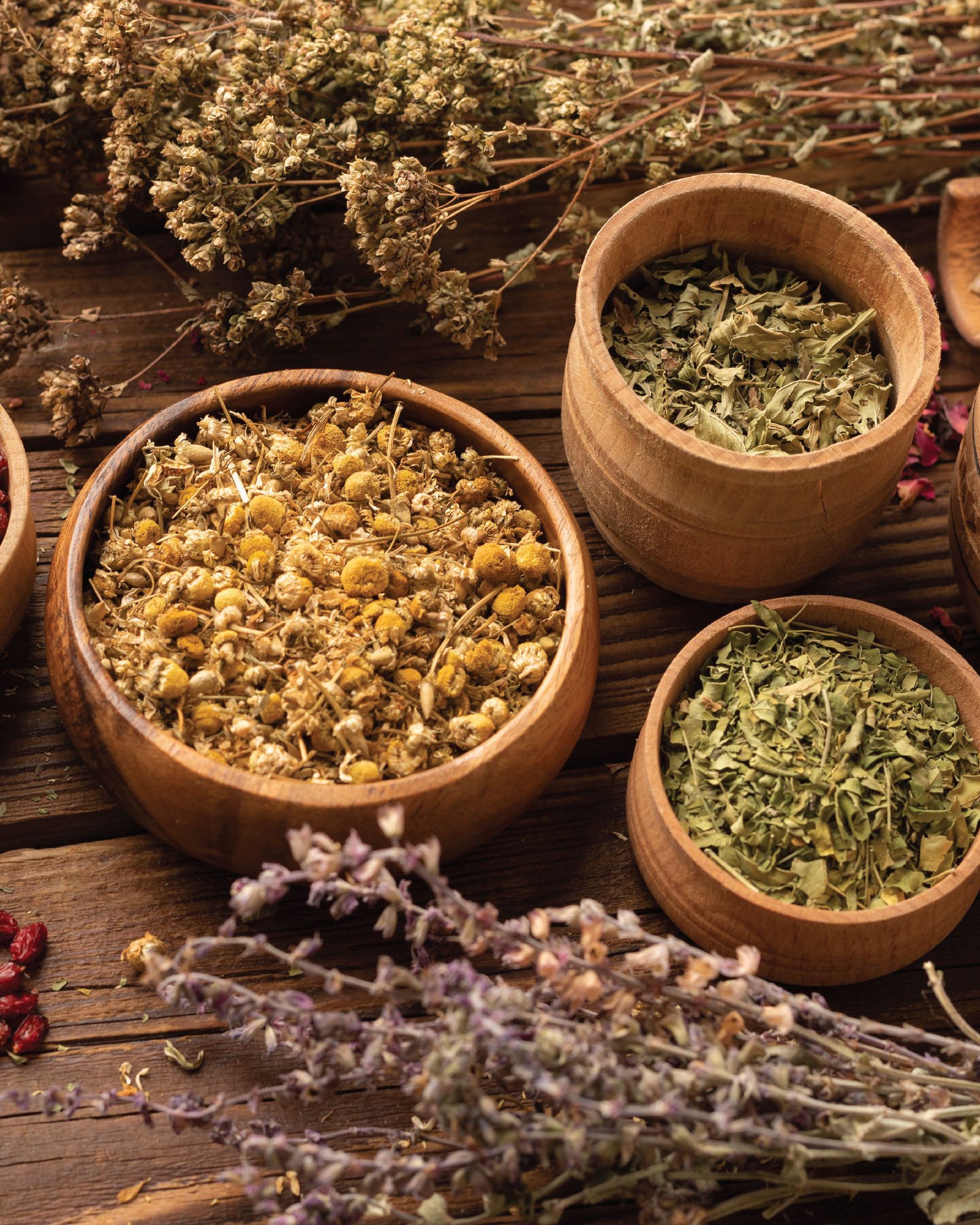 Herbal Powders and Botanical Ingredients